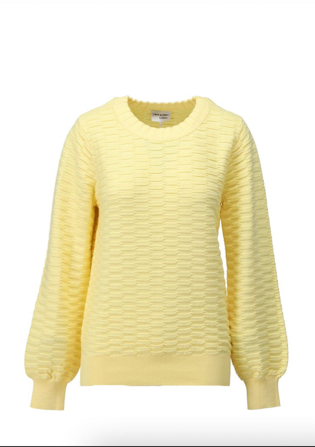 Dames - you're my lobster - trui - sofia - lemon meringue
