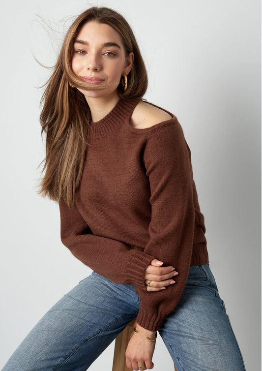 Dames - selected by global fashion - trui - lore - bruin
