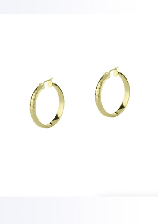 Dames - oorbellen - hoops - did it again - goud