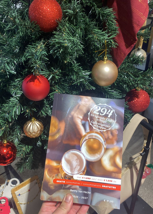 Bierboek 294 0riginele cafés in Belgie 2025-2027